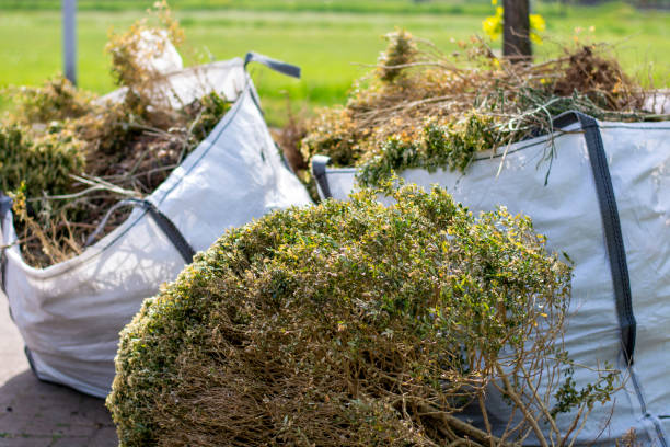 Best Moving and Downsizing Cleanouts  in Rotan, TX