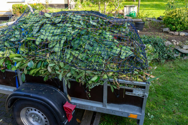 Best Yard Waste Removal  in Rotan, TX